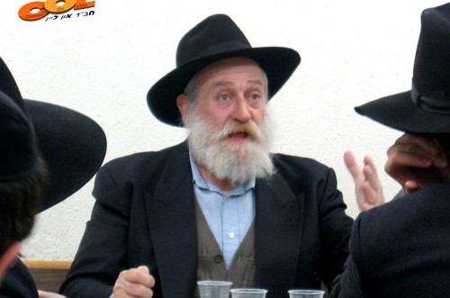 התמימים הצעירים ב'תומכי תמימים' התמימים הצעירים ב'תומכי תמימים'