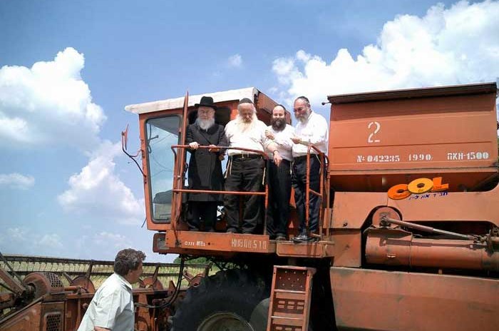 נס גלוי בקציר החיטים