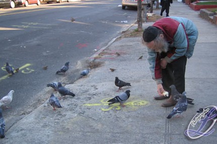 'תמונת היום'