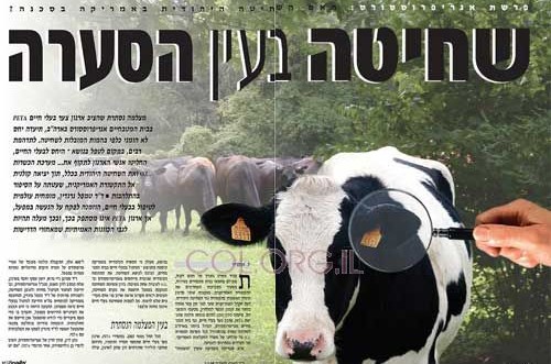 'משפחה' בכתבה על בית המטבחיים הכשר הגדול בעולם 'משפחה' בכתבה על בית המטבחיים הכשר הגדול בעולם