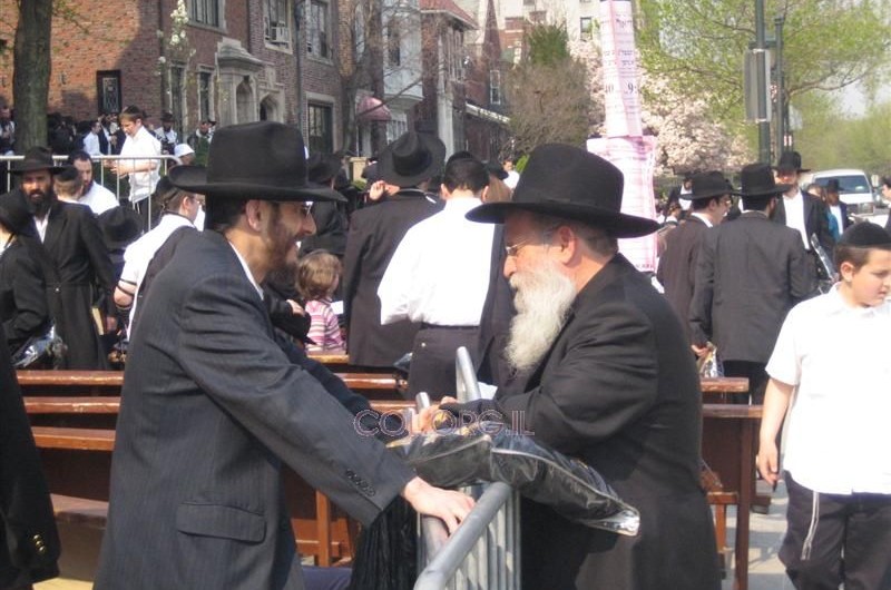תמונת היום