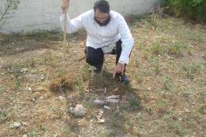 חלקי גופות התגלו בבית העלמין היהודי בקפריסין