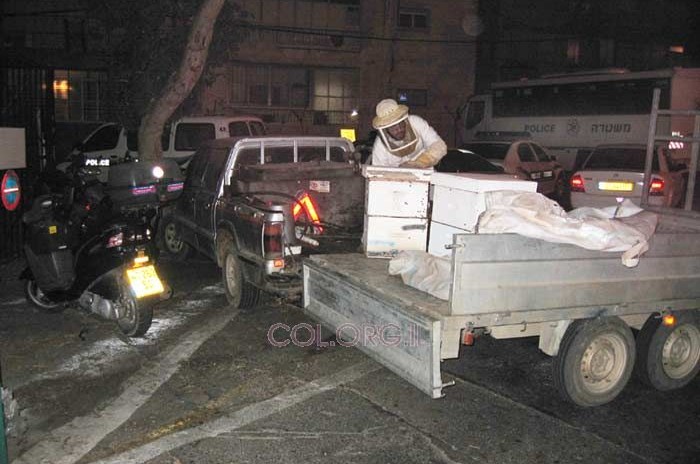 הדבורים והעצורים נפגשו במשטרת רמת גן הדבורים והעצורים נפגשו במשטרת רמת גן