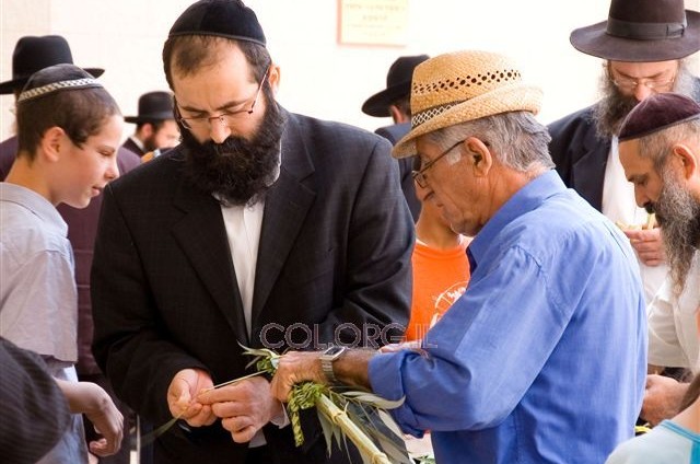 שוק ארבע מינים בנחלת הר-חב