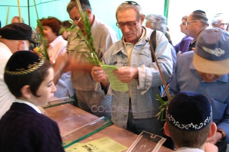 העולים מברכים על הלולב בחמ