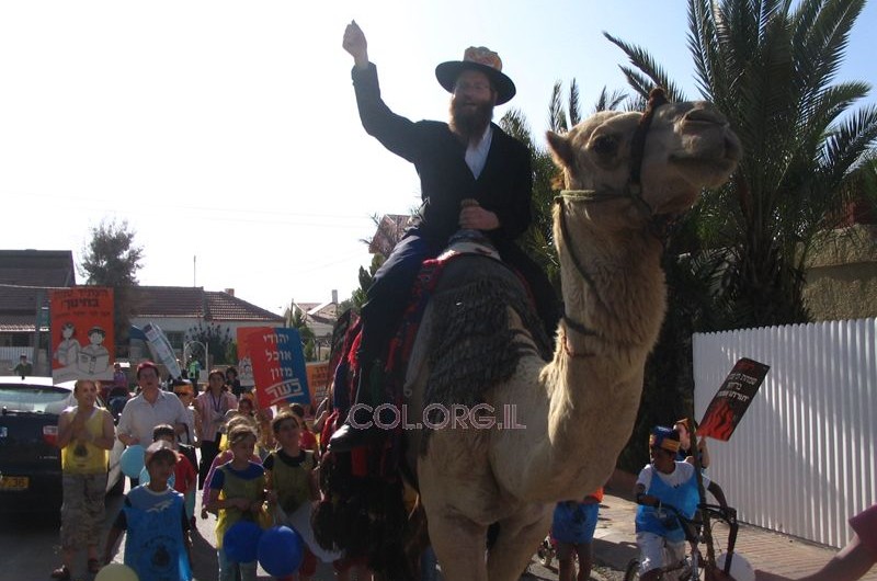 בראש התהלוכה: השליח על גמל