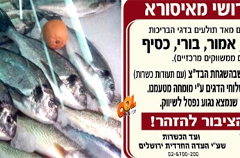 העדה החרדית: להזהר מתולעים בדגים