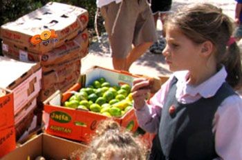 מחייה החיים / 'שלושים' לפטירת חיה מושקא עטייה ע