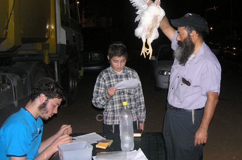 כפרות בראשון-לציון ב'אשמורת הבוקר'