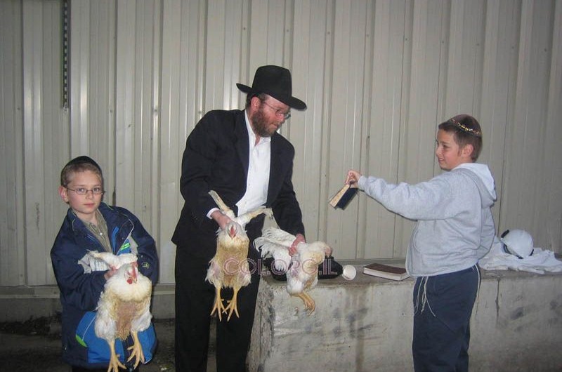 כפרות ב'השכמת הבוקר' בפוסטוויל אייווה