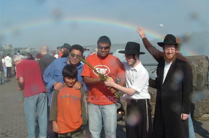 קנדה: מבצע לולב במפלי הניאגרה 