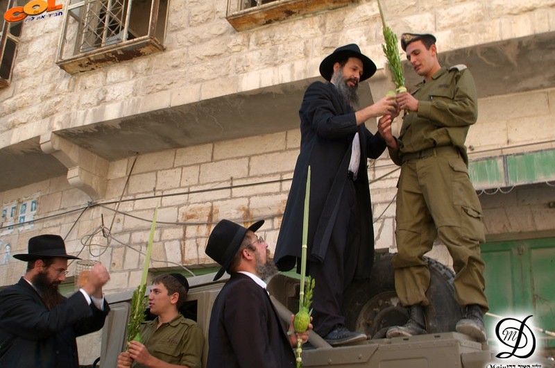 תמונת היום