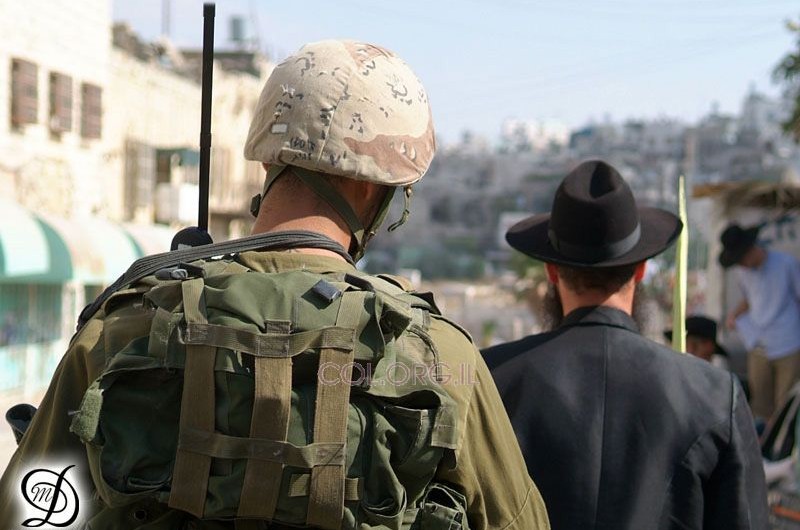 מראות החג: 'מבצע לולב' בחברון