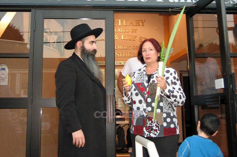 מבצעים במלוא המרץ בטנפליי, במקביל לבנייה מבצעים במלוא המרץ בטנפליי, במקביל לבנייה
