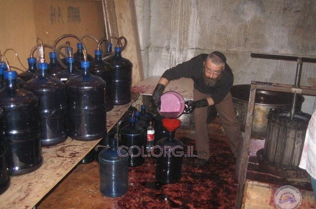גם השנה: הקהילה באלמא-אטא מייצרת יין