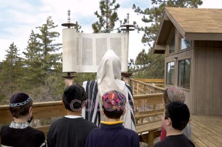 מנהל אגף בסוכנות: חב