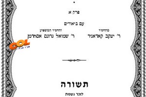 חדש: ביאור 