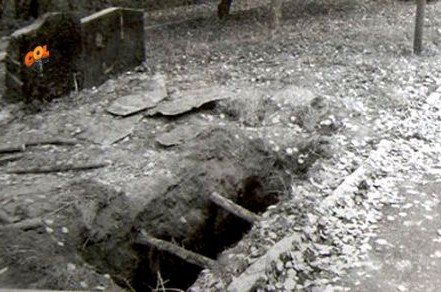 קבר האחים באוקראינה יוכר כאתר יהודי / וידאו