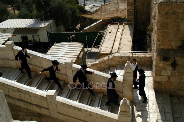 בומלגרין מתכנן להקים בירושלים מגדל יוקרה לחרדים