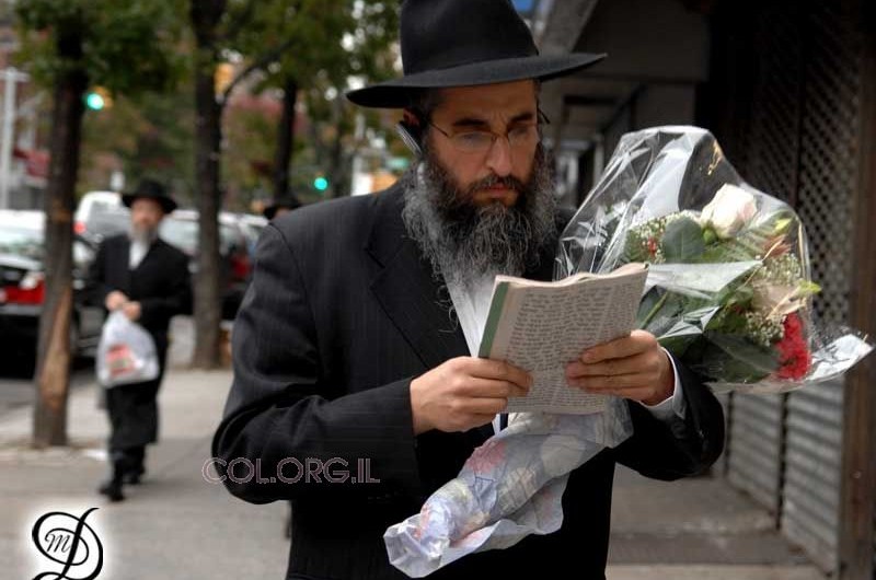 תמונת ערב שבת: זר פרחים, חת