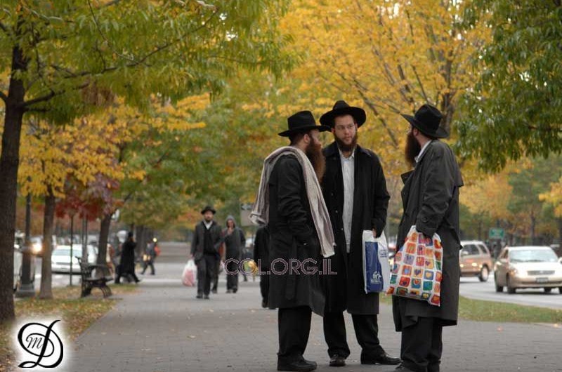 קראון-הייטס: שבת התעלות והתוועדויות עם השלוחים 