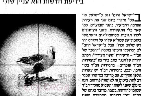 מדוע חסידי חב