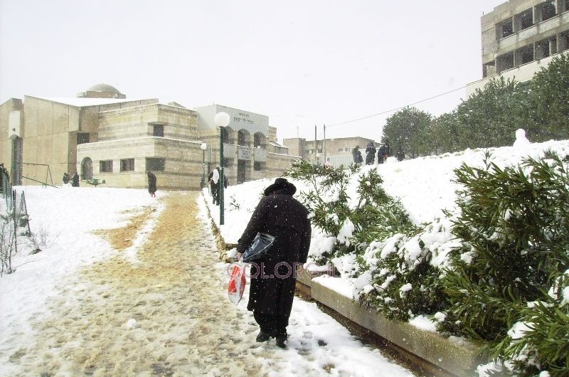 שלג בישראל: אין לימודים במספר אזורים בארץ ● גלריות