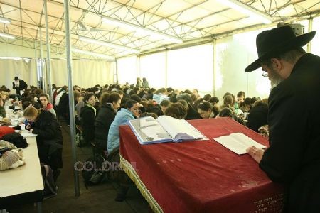 שבת אחדות לבנות קבוצת חב