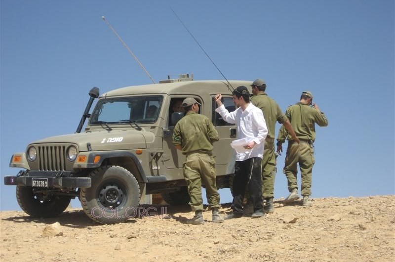 פורים בגזרת אילת: המספרים מדברים