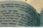 חידודים בתנ חידודים בתנ