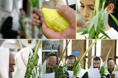 הושענא רבה בכפר-חב