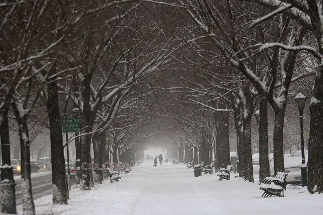 ניו יורק: מזג אוויר קר מצפה לשלוחים 