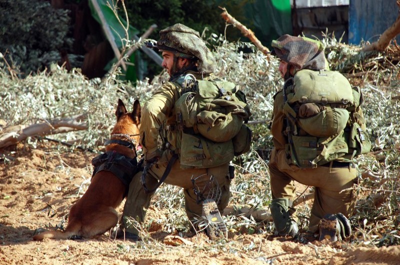 שמות הפצועים לתפילה לרפואה שלימה ● רשימה