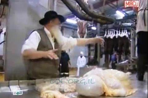 הטלוויזיה במוסקבה: רק בשר כשר הוא בריא וזול ● וידאו