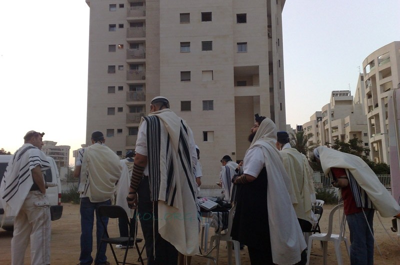 תמונת היום: המלך בשדה...  