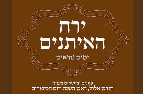 חדש על המדף: 