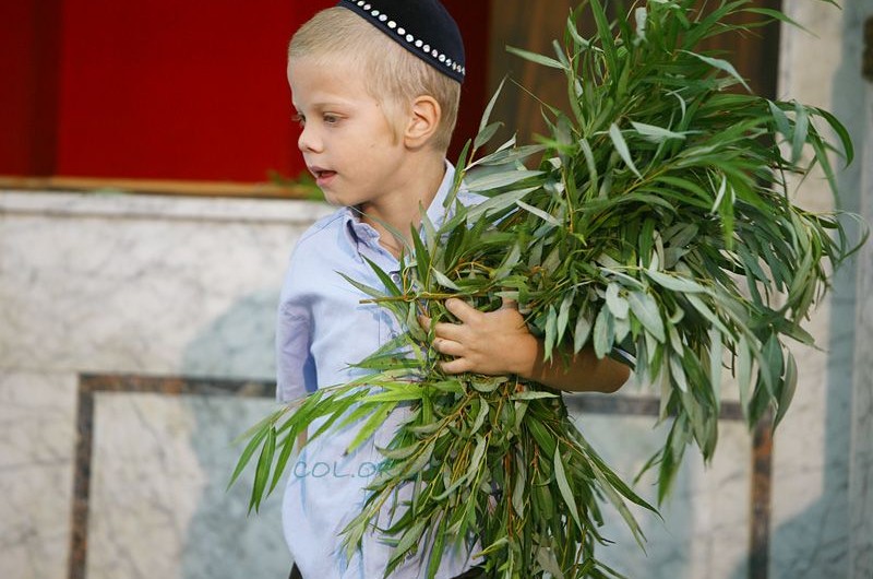 אי-אפשר בלי הערבה ● עמדה שבועית