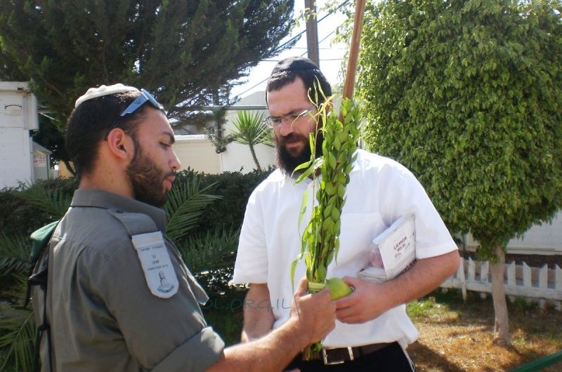 סוכות ללא הפסקה בכפר סבא