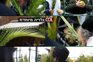 ערב שמחת-תורה: 770 עובר לרחוב ● גלריית ענק, 60 תמונות