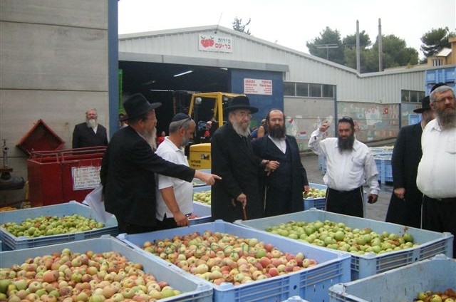 תמונת היום 