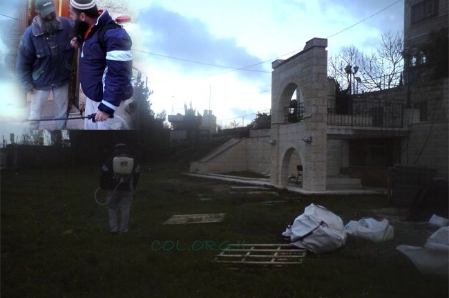 לקראת היארצייט: רוססה חלקת חב