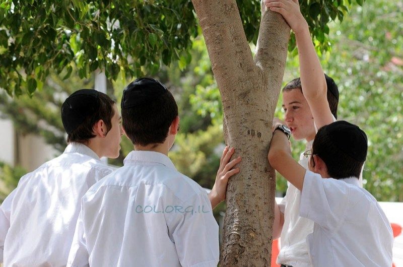 כעת במגדל העמק: המפגש השנתי של ילדי השלוחים בישראל