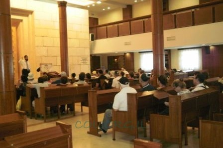 מנהל בתי המשפט בישראל אורח 