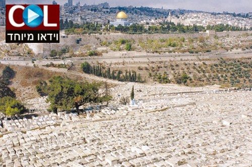 דיון מעמיק על נושא מצער ● בסוד הפרשה בוידאו 