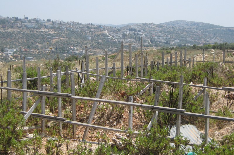 הלילה בחצות: ההקפאה תמה ● מימין ומשמאל נערכים 