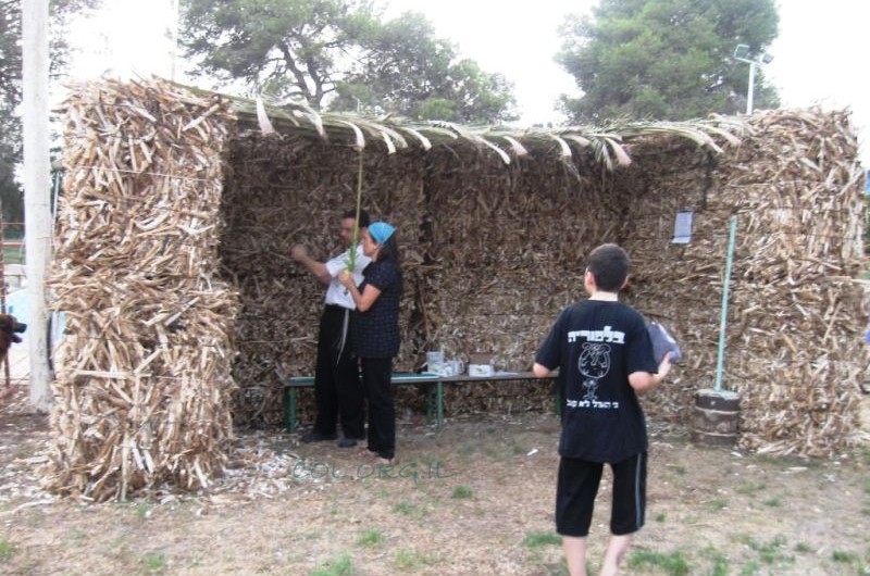 בלפוריה: מבצע סוכות משודרג בהפנינג סוף הקיץ