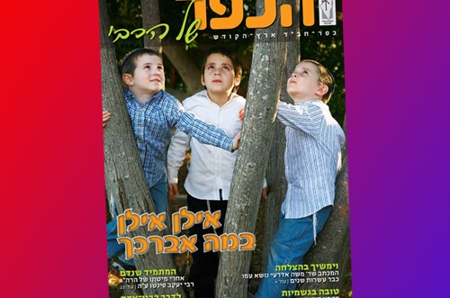חדש: מגזין חודש שבט של ועד כפר חב