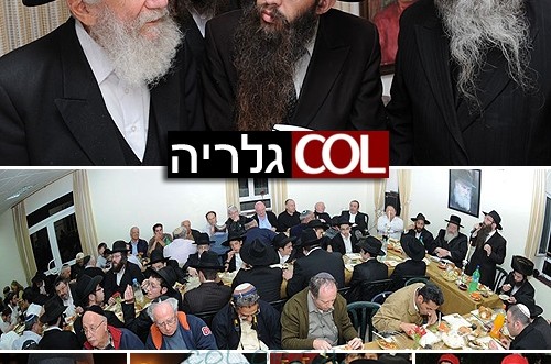 עץ חיים: הגבאי תרם ספר-תורה לעילוי-נשמתו... ● סיקור, גלריה
