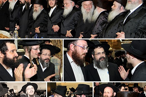 חסידי חב