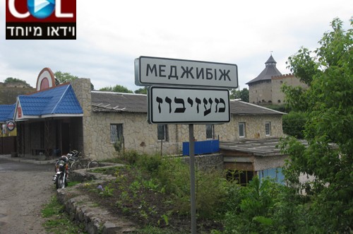 מאות ישבתו בחג השבועות במז'יבוז' ● וידאו 